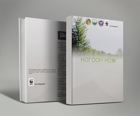 Ногоон ном
