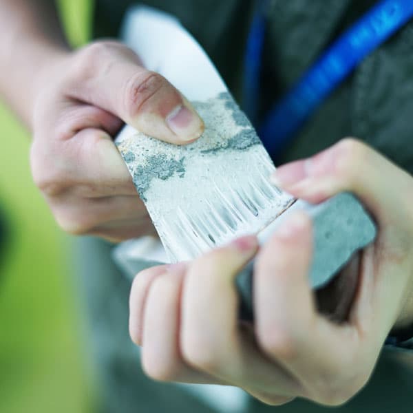 Эс Эн Ди ХХК